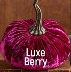 Velvet Pumpkin -Blend Fashion House 0bd59efbfcda6747590dd3fd7c4c94458d8884e7e3567376261e215a948a8ba4 1