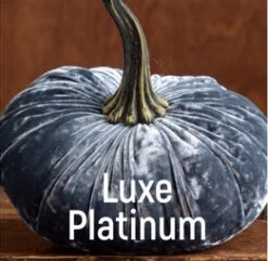 Velvet Pumpkin -Blend Fashion House f1e160c669a0b362dc36046e2c253ef6c9fa72716a7efb8ea5ba5b27a05771a6 1