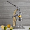 Artisan Citrus Juicer
