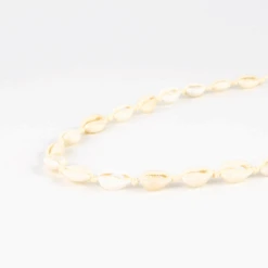 Natural Cowrie Shell Choker Necklace 5 Natural Cowrie Shell Choker Necklace -Blend Fashion House image e63fa20b cfb1 4d9c 8949 cc30146fc8f5